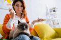 Как коты чувствуют нашу грусть: исследования ветеринаров раскрывают тайны