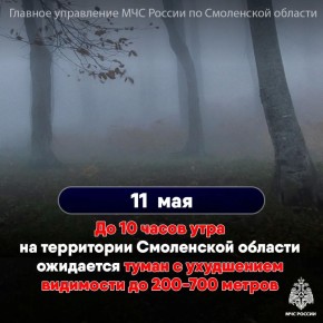 По информации Смоленского ЦГМС 11 мая в утренние часы местами на территории области ожидается туман с ухудшением видимости до 200-700 метров