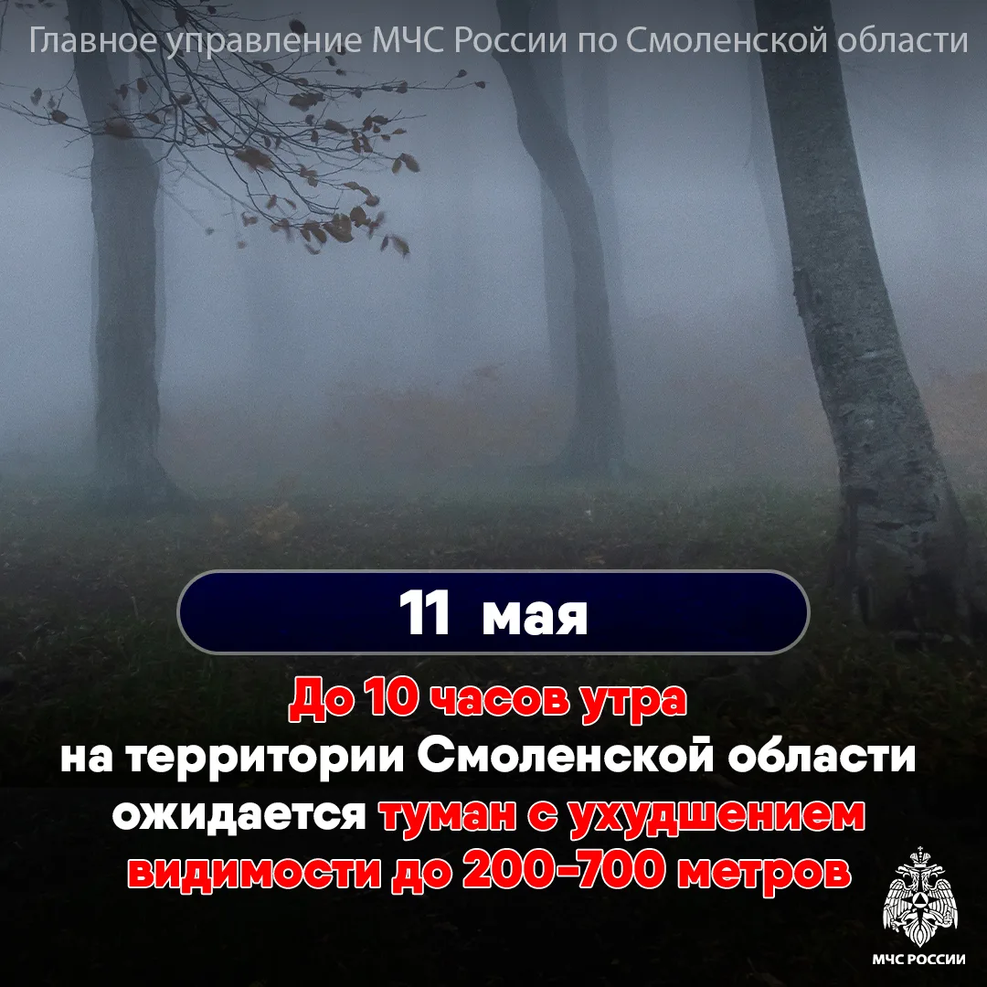 По информации Смоленского ЦГМС 11 мая в утренние часы местами на территории области ожидается туман с ухудшением видимости до 200-700 метров