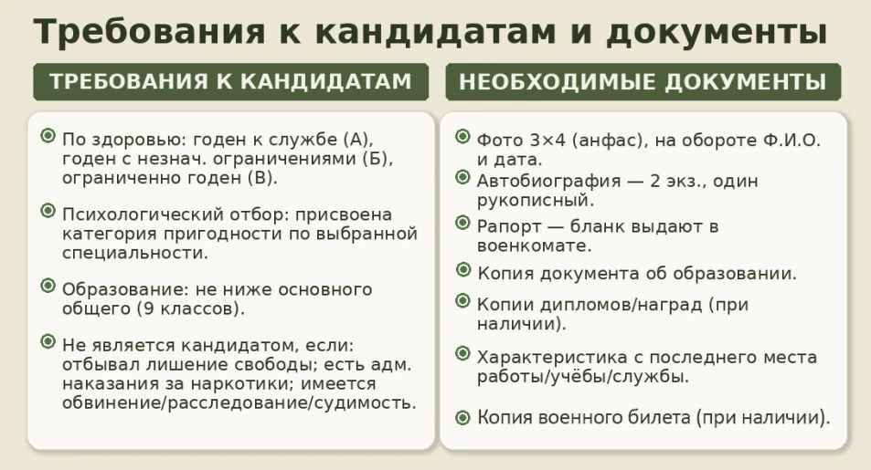 В Смоленской области формируется добровольческий отряд «Барс Смоленск» для защиты объектов от БПЛА В Смоленской области формируется добровольческий отряд «Барс Смоленск» для защиты объектов от БПЛА