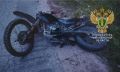 В Смоленской области подросток на мотоцикле насмерть врезался в лося