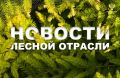 AK&M: Рослесхоз: с начала 2026 года поступило 17,1 млрд рублей лесных доходов