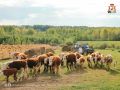 С Днём фермера!. Сегодня в России отмечается День фермера