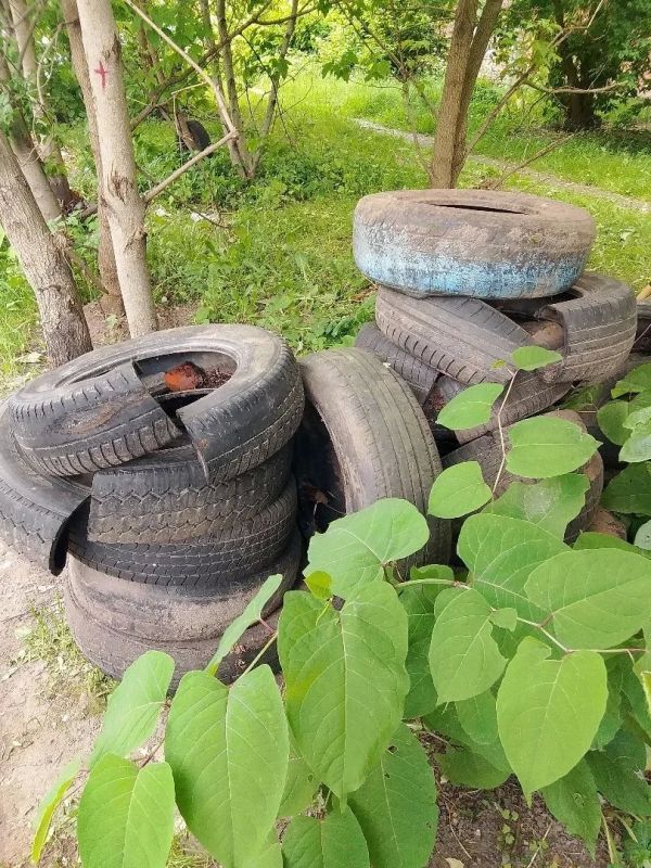 Смоленский ГУК демонтировал старые покрышки во дворе Смоленский ГУК демонтировал старые покрышки во дворе