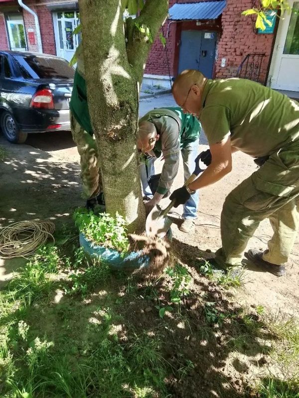 Смоленский ГУК демонтировал старые покрышки во дворе Смоленский ГУК демонтировал старые покрышки во дворе