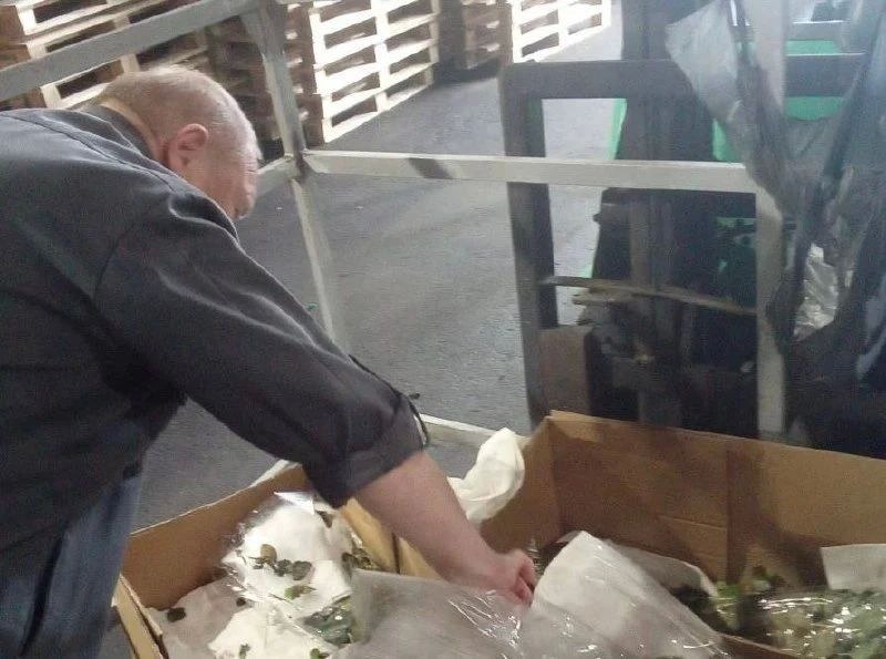 В Смоленской области выявили около 40 тысяч незаконно ввезенных цветов В Смоленской области выявили около 40 тысяч незаконно ввезенных цветов