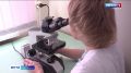 На Смоленщине наблюдается спад активности клещей
