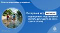 Летние радости без лишних тревог