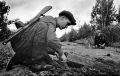 «Рельсовая война». В ночь на 3 августа 1943 года 167 партизанских отрядов Белоруссии, Калининской, Ленинградской, Смоленской и Орловской областей, а также часть украинских партизан одновременно начали операцию «Рельсовая...