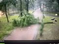 На Смоленскую область обрушился мощный ливень с грозой и шквалистым ветром