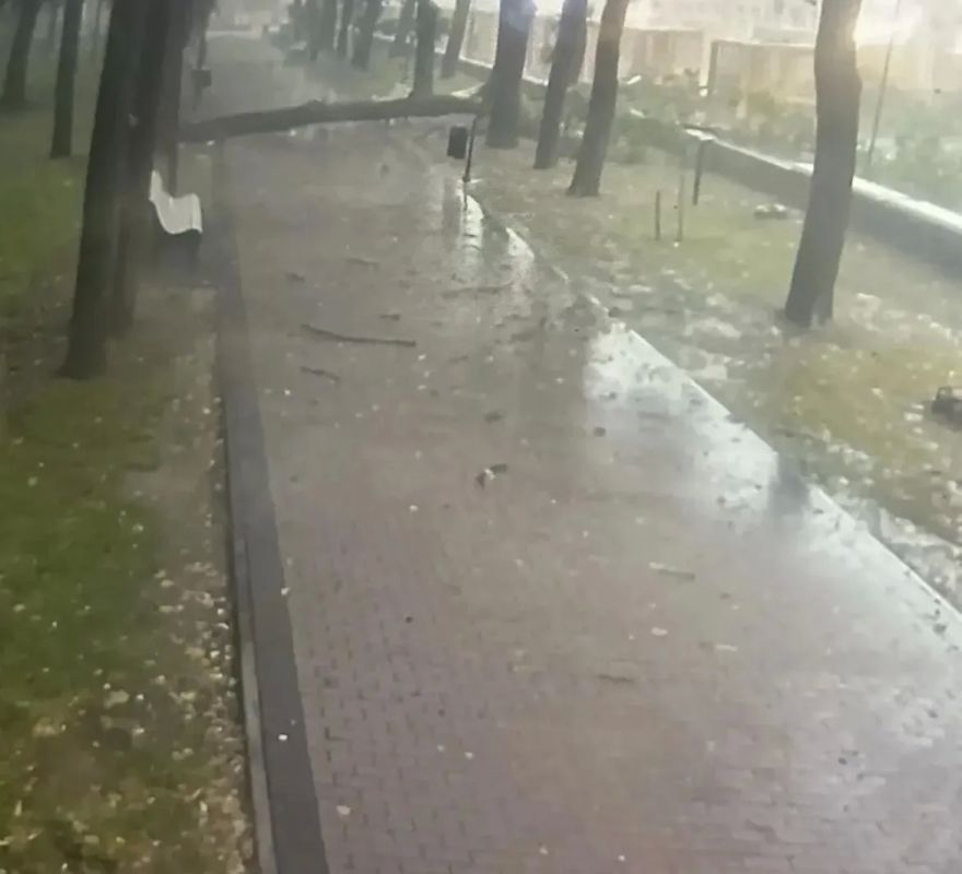 Ребенок и женщина погибли в Смоленске из-за упавших деревьев в парках во время урагана, пишут местные СМИ Ребенок и женщина погибли в Смоленске из-за упавших деревьев в парках во время урагана, пишут местные СМИ
