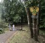 Прокуратуры Промышленного и Ленинского районов г. Смоленска организовали проверку по факту гибели женщины и несовершеннолетнего ребенка вследствие падения деревьев