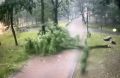 Режим ЧС из-за непогоды ввели в Смоленской области