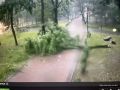 В Смоленской области объявлен режим ЧС из-за урагана, сообщает МЧС