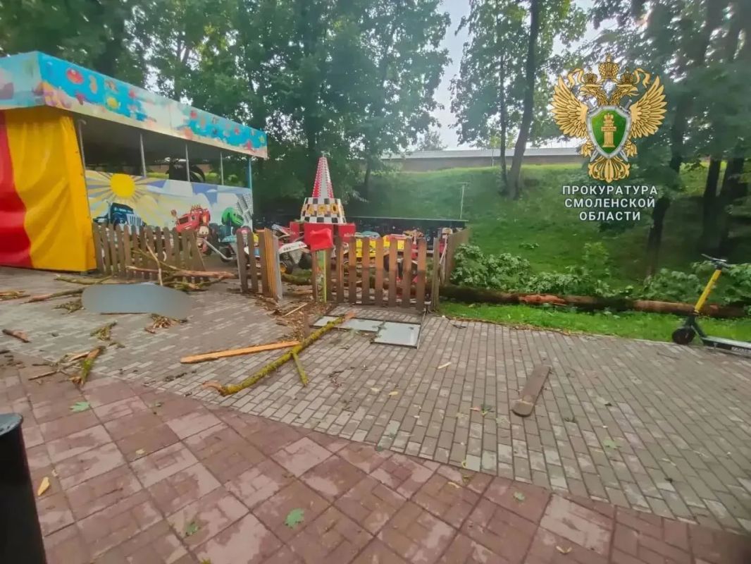 Трагедия в Смоленске. Прокуратура начала проверку после гибели ребёнка и женщины Трагедия в Смоленске. Прокуратура начала проверку после гибели ребёнка и женщины