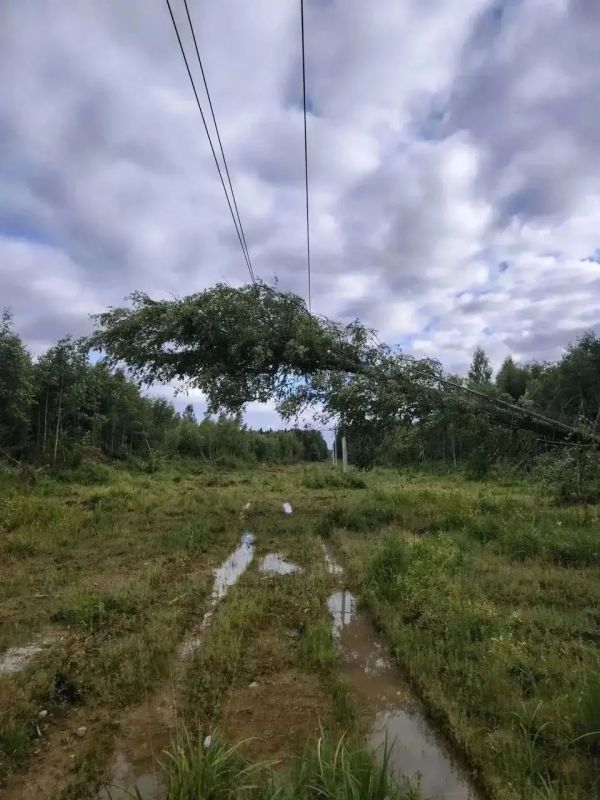 Энергетики восстановили электроснабжение почти у 25 тысяч жителей Смоленской области Энергетики восстановили электроснабжение почти у 25 тысяч жителей Смоленской области