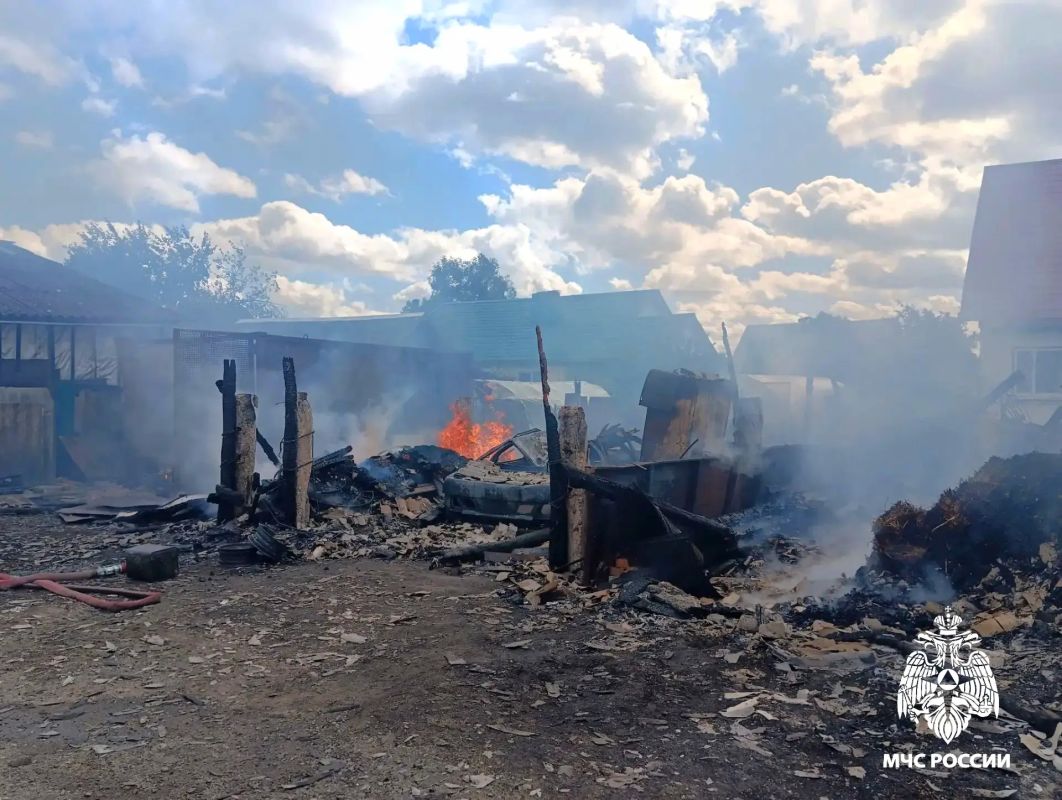 Ветер раздул пожар в Смоленской области Ветер раздул пожар в Смоленской области