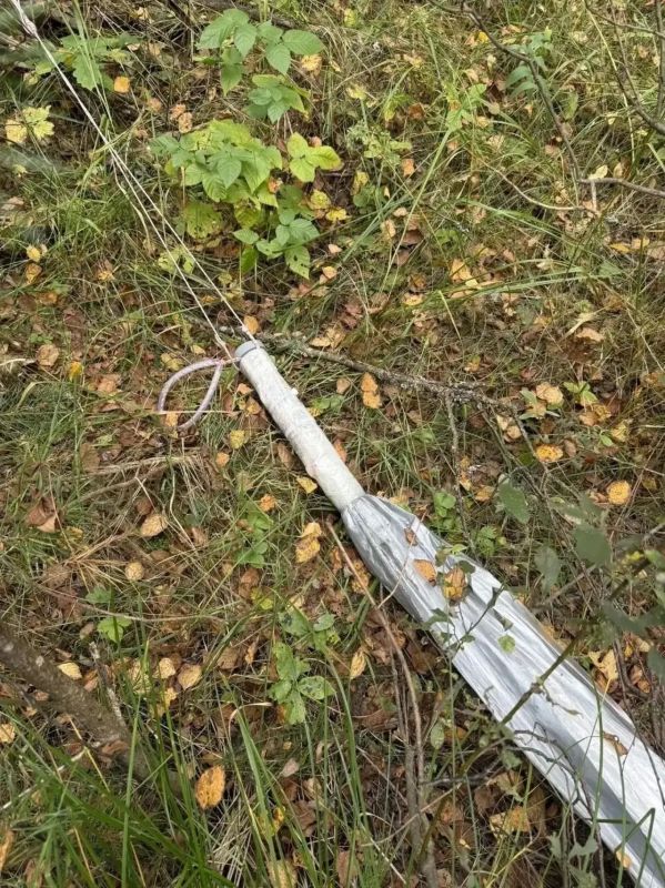 В Смоленской области зафиксированы случаи обнаружения в лесных массивах фрагментов сбитых беспилотных летательных аппаратов В Смоленской области зафиксированы случаи обнаружения в лесных массивах фрагментов сбитых беспилотных летательных аппаратов