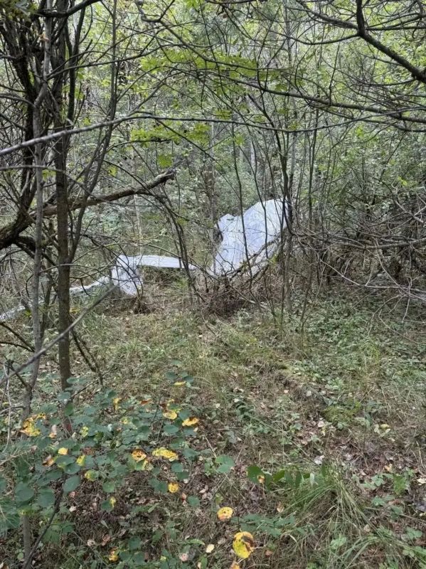 В Смоленской области зафиксированы случаи обнаружения в лесных массивах фрагментов сбитых беспилотных летательных аппаратов В Смоленской области зафиксированы случаи обнаружения в лесных массивах фрагментов сбитых беспилотных летательных аппаратов