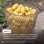 Смоленское фермерское хозяйство «Картошка из Архиповки» участвует в национальной аграрной премии