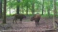 � ����������� �������� ����������� ����� ������