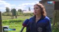 В соцсетях активно обсуждают необходимость приносить домашнюю птицу в МФЦ для регистрации