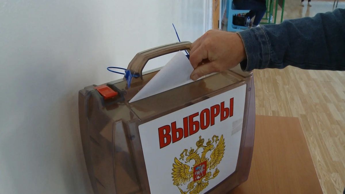 97 тысяч смолян подали заявки на дистанционное электронное голосование