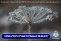 На Смоленщине прогнозируются заморозки