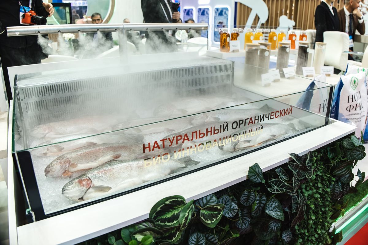 Международный рыбопромышленный форум — 2026: компании со всей страны показали производственный потенциал российской рыбной отрасли Международный рыбопромышленный форум — 2026: компании со всей страны показали производственный потенциал российской рыбной отрасли