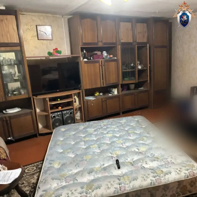 В Вяземском муниципальном округе мужчина обвиняется в совершении особо тяжкого преступления