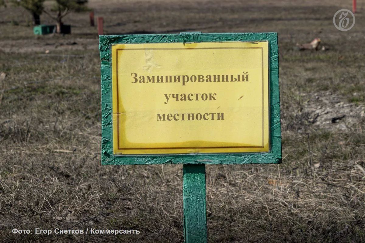 «День боевых действий требует до тридцати дней разминирования»: проблемы нейтрализации противопехотных мин неожиданно обсудили на форуме в Воронеже